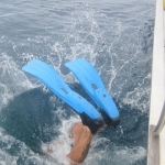 pweh12nov031.jpg