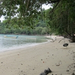 pweh12nov003.jpg
