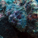 pweh12nov089.jpg
