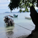 pweh12nov001.jpg