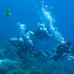 pweh12nov048.jpg