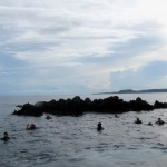 pweh12nov113.jpg