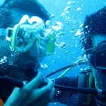 pweh12nov090.jpg