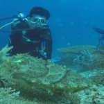 palu16solartour 7.jpg