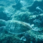palu16solartour 36.jpg
