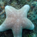 palu16solartour 50.jpg