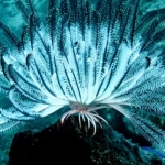 palu16solartour 37.jpg
