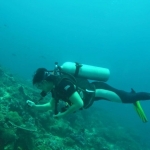 palu16solartour 59.jpg