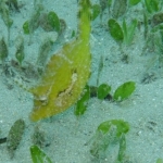 palu16solartour 53.jpg