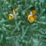 palu16solartour 9.jpg