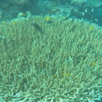 palu16solartour 25.jpg