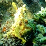 palu16solartour 49.jpg