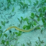 palu16solartour 52.jpg