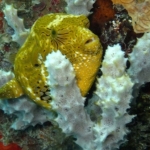palu16solartour 51.jpg