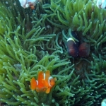 palu16solartour 22.jpg