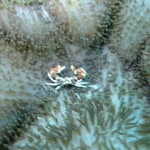 palu16solartour 21.jpg