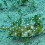 palu16solartour 55.jpg