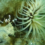palu16solartour 54.jpg