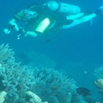 palu16solartour 26.jpg