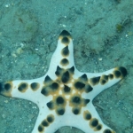palu16solartour 56.jpg