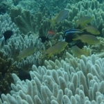 palu16solartour 39.jpg