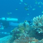 palu16solartour 29.jpg