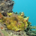 palu16solartour 48.jpg