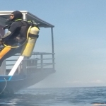 palu16solartour 14.jpg
