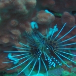 palu16solartour 42.jpg