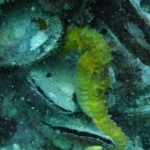 palu16solartour 13.jpg