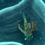 palu16solartour 11.jpg