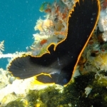 palu16solartour 47.jpg