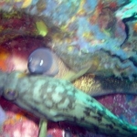 gordon11july15.jpg