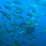 DSC00006.JPG