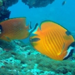 DSC00018.JPG