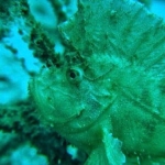 18-10-timor46.jpg