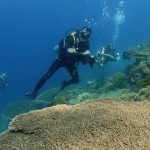 18-10-timor37.jpg