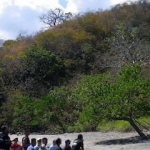 komodoisland10sept30.jpg