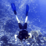 24-10 RedSea-49.jpg