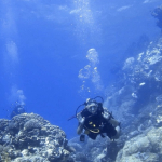 24-10 RedSea-29.jpg