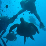 25-06 North Sulawesi 18.jpg