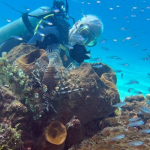 25-06 North Sulawesi 40.jpg