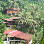 25-06 North Sulawesi 51.jpg