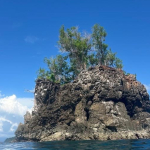 25-06 North Sulawesi 43.jpg