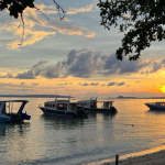 25-06 North Sulawesi 27.jpg
