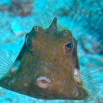 tempImagePFHU6N.jpg